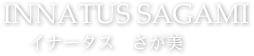 イナータスさが美